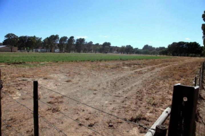 0 Bedroom Property for Sale in Loxton Northern Cape